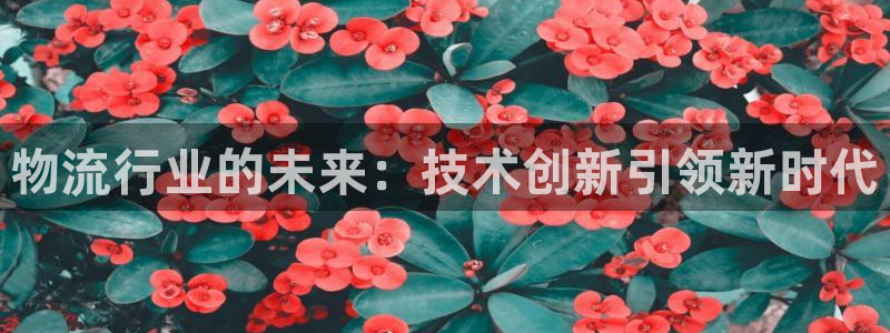 28圈退款教程：物流行业的未来：技术