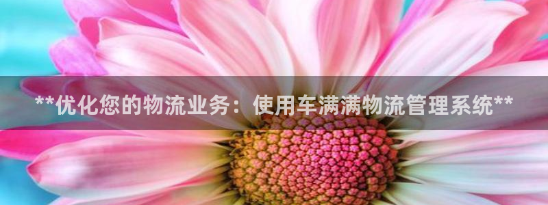 28圈初始资金密码是什么：**优化您