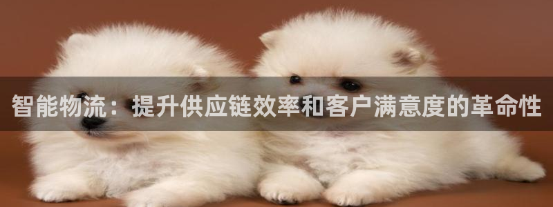 28圈口内径是多大