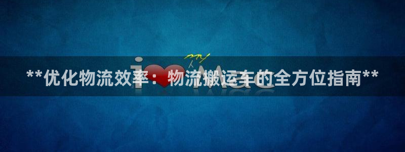 28圈模拟器下载：**优化物流效率：