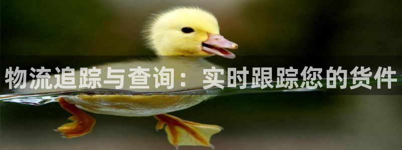 28圈注册登录链接：物流追踪与查询：