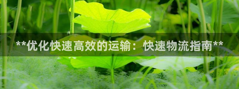 28圈取保