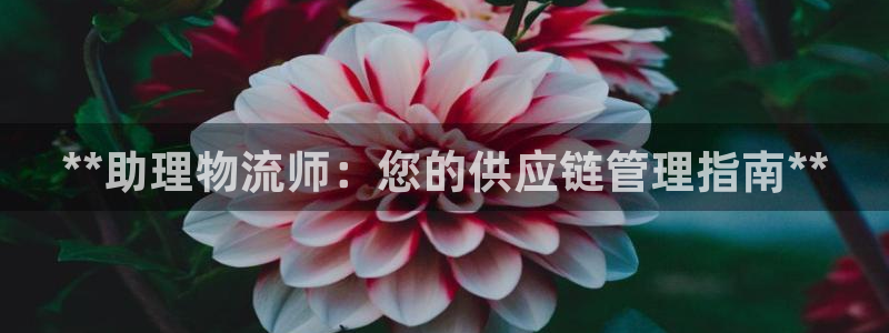 28圈加拿大app预测