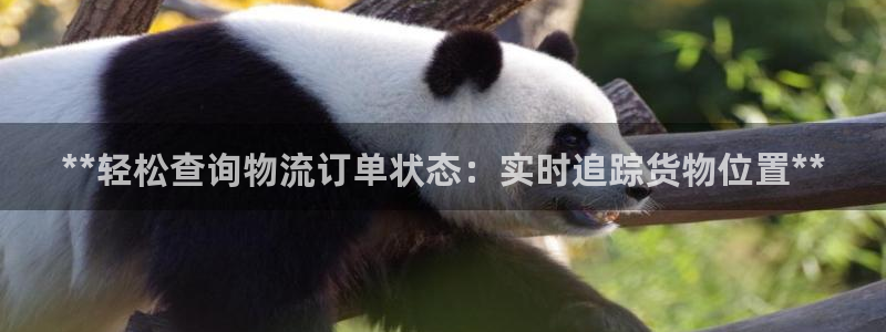 28圈充值不处理：**轻松查询物流订