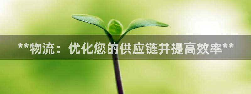28圈反水：**物流：优化您的供应链
