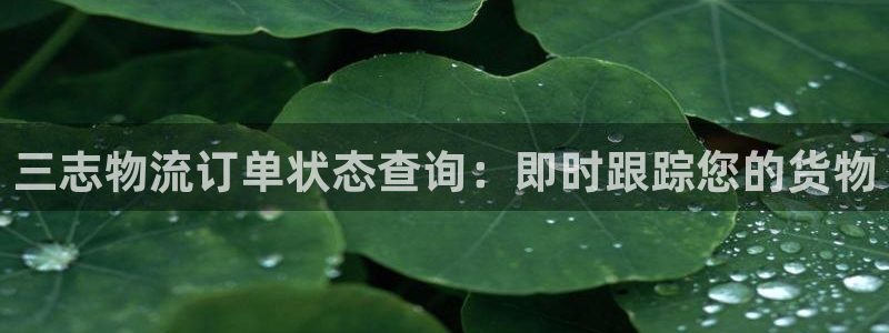 28圈官网版2024