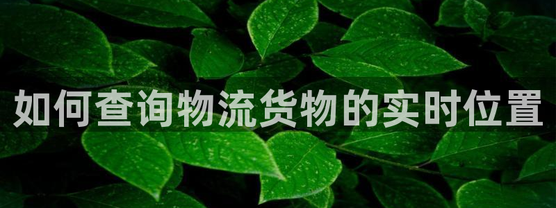 28圈黑钱：如何查询物流货物的实时位