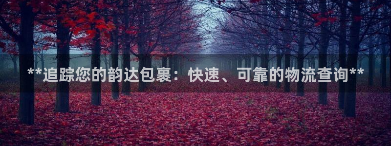 28圈加拿大官网