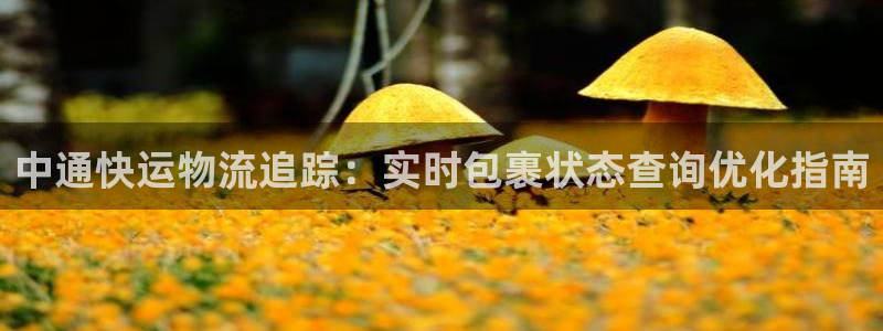 28圈加拿大6.0