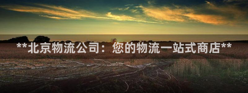 28圈加拿大预测：**北京物流公司：