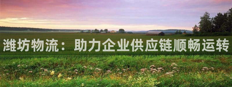 28圈充值金额随便