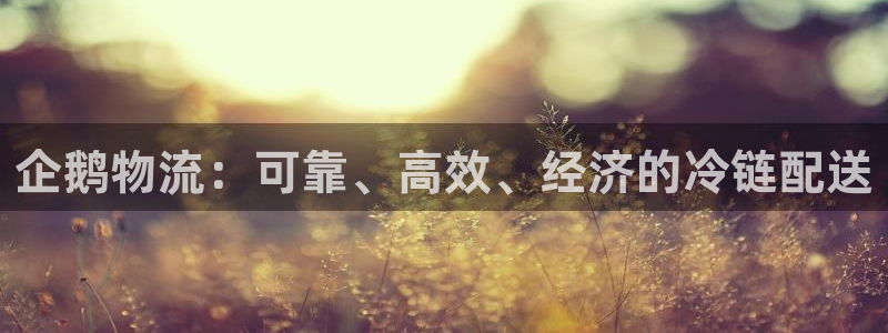 28圈注册网站：企鹅物流：可靠、高效