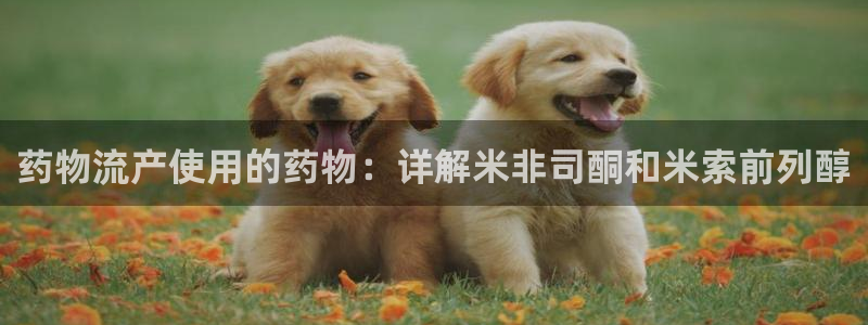 28圈女王中奖记录查询