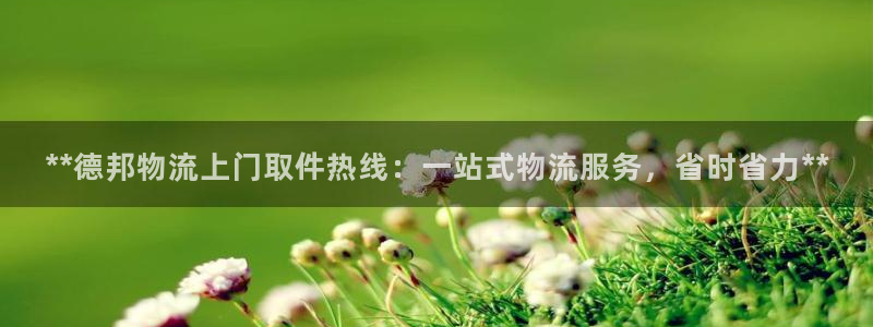 28圈官方版正版
