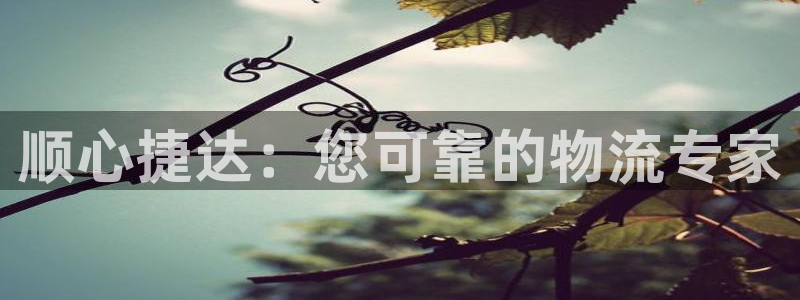 28圈充值为什么充不了