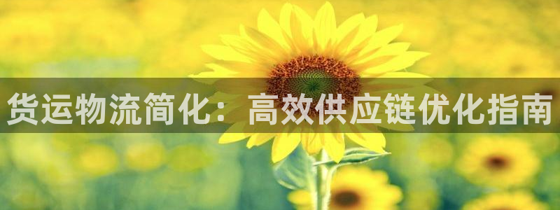 28圈模拟：货运物流简化：高效供应链