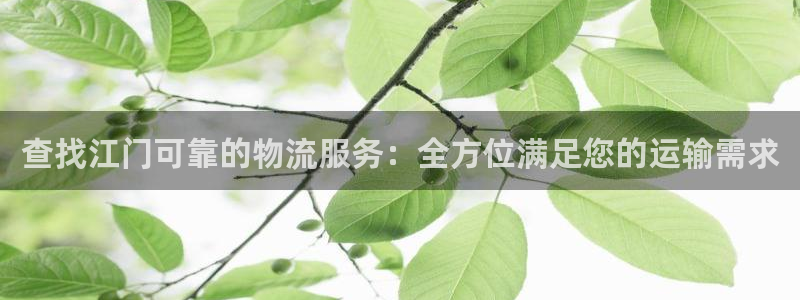28圈注册条件：查找江门可靠的物流服