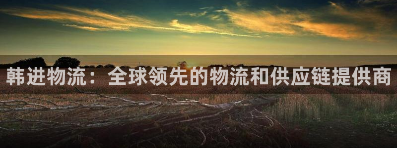28圈官方版网站：韩进物流：全球领先