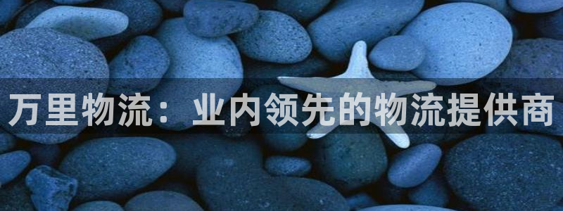28圈起来的符号：万里物流：业内领先