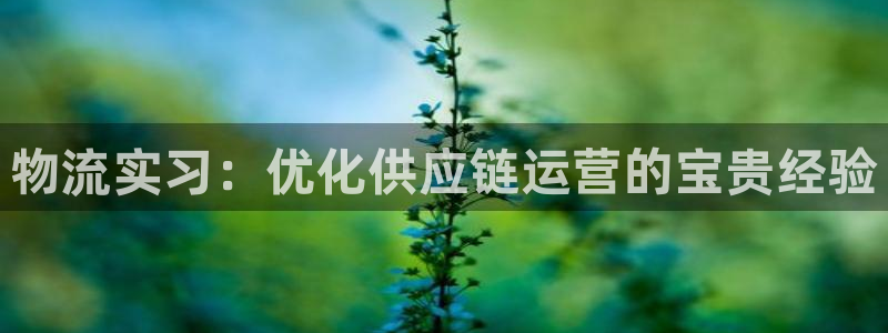 28圈分分28预测