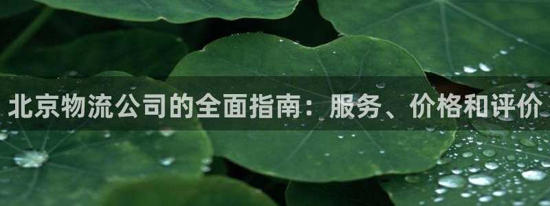 28圈注册入口与教程：北京物流公司的