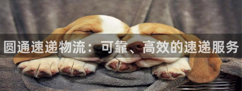 28圈犯法吗：圆通速递物流：可靠、高