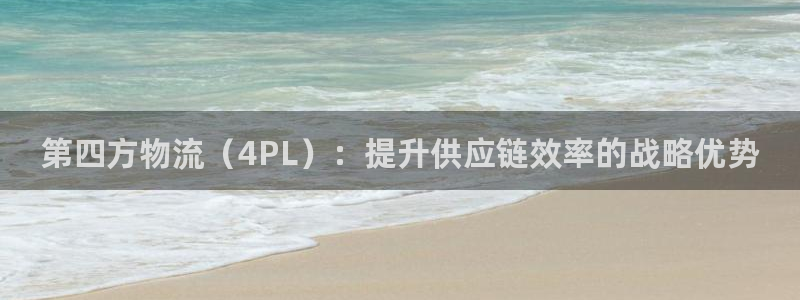 28圈娱乐官网网页入口：第四方物流（