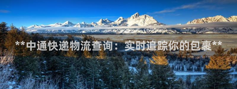 28圈技巧
