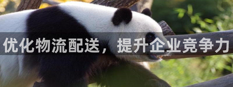 28圈软件：优化物流配送，提升企业竞