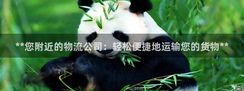28圈pg麻将胡了
