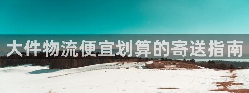 28圈龙虎