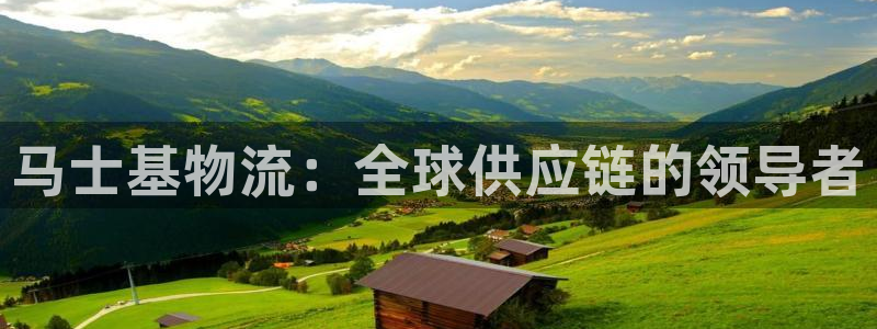 28圈链官网：马士基物流：全球供应链