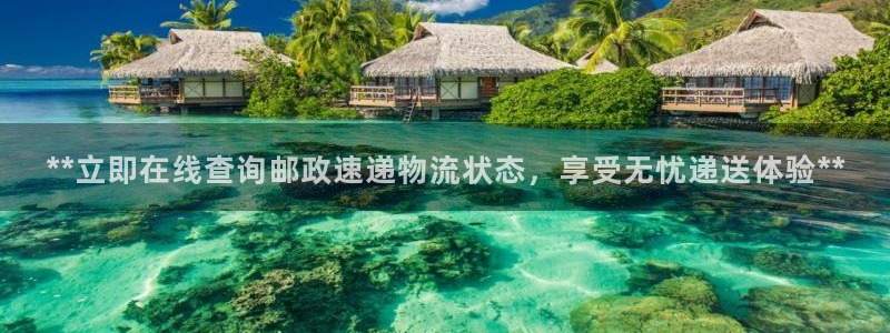 28圈官网开奖结果预测