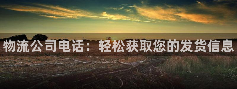 28圈预测