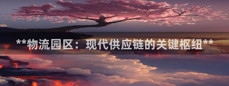 28圈登录不上咋回事：**物流园区：