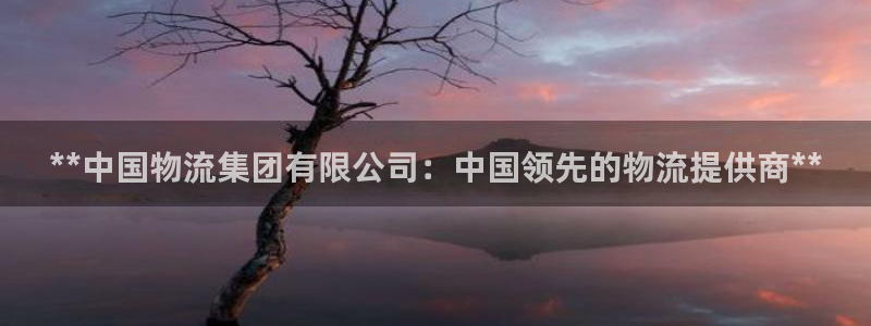 28圈pc预测：**中国物流集团有限