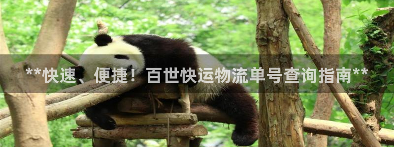 28圈注册网站加拿大：**快速、便捷