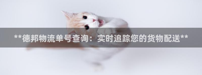 28圈下分了不给钱
