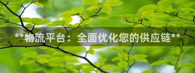 28圈那个才是充值账号