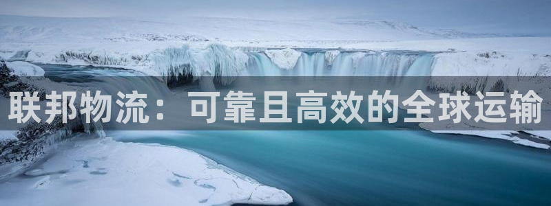 28圈百度百科：联邦物流：可靠且高效