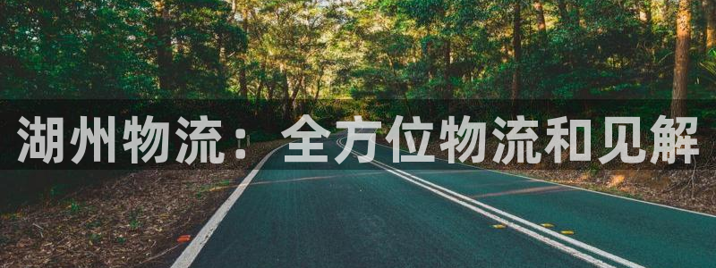 28圈官方网站预测：湖州物流：全方位