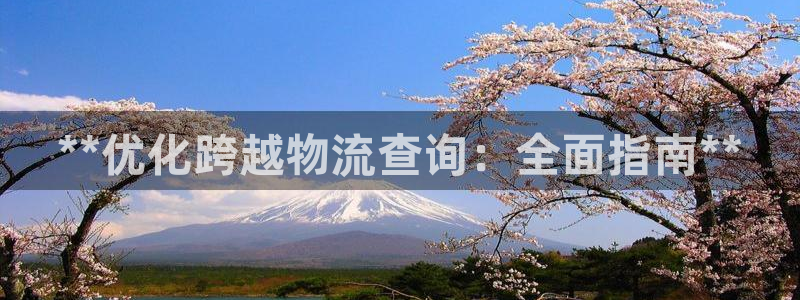 28圈代理落网：**优化跨越物流查询