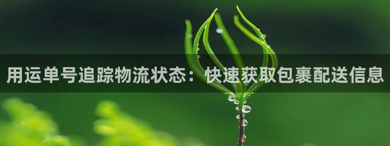 28圈旗下