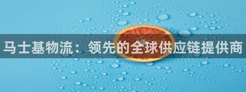 28圈官方版网站：马士基物流：领先的