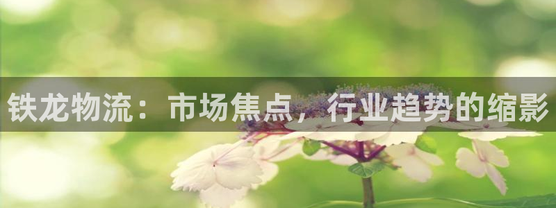 28圈网站平台是多少：铁龙物流：市场