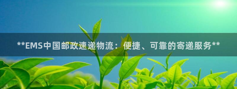 28圈加拿大真假怎么看：**EMS中