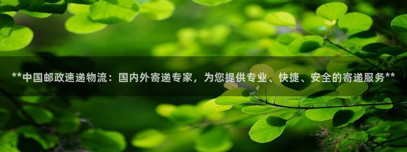 28圈注册条件：**中国邮政速递物流