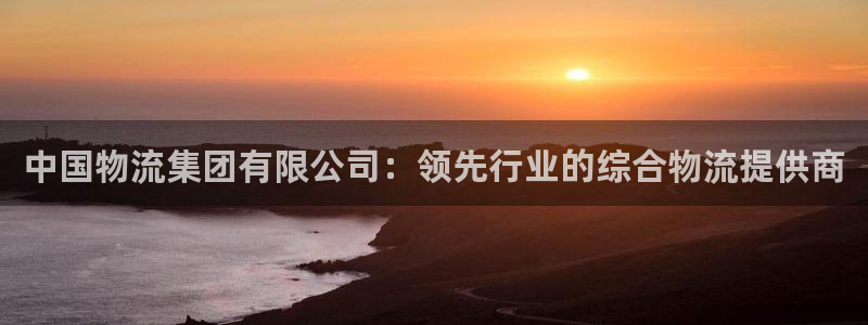 28圈cn：中国物流集团有限公司：领