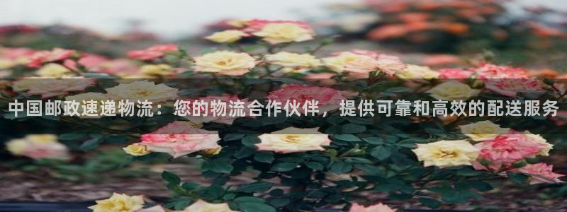 28圈怎么下载