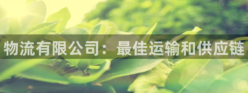 28圈怎么注册账号：物流有限公司：最